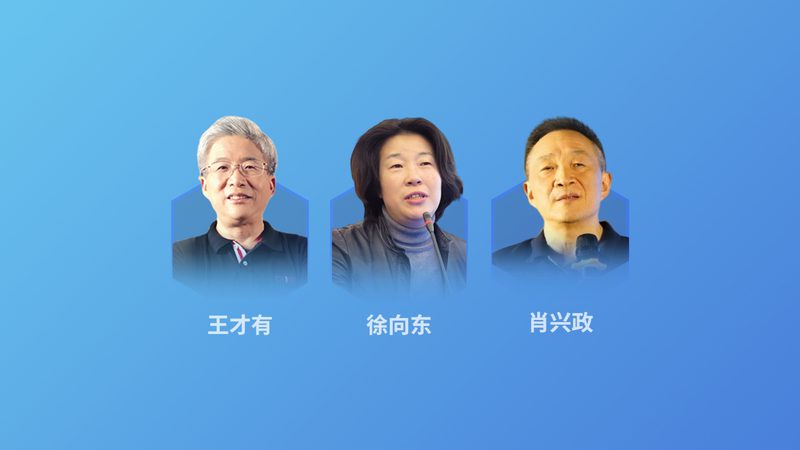 腰椎调理食谱：药材搭配的科学与艺术**